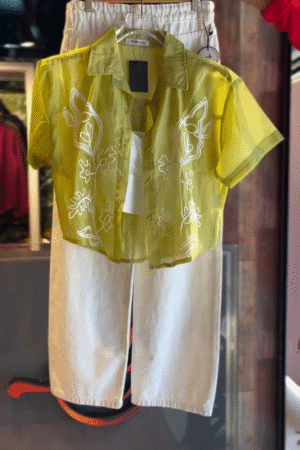 💛 Citrus Glow Sheer Embroidered Coord Set – A Burst of Sunshine and Modern Grace ☀️✨