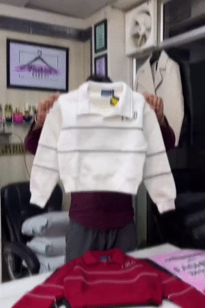 🏙️Urban Essential Cropped Polo Sweatshirt with Streamlined Stripe Detailing & Modern Collar🏙️